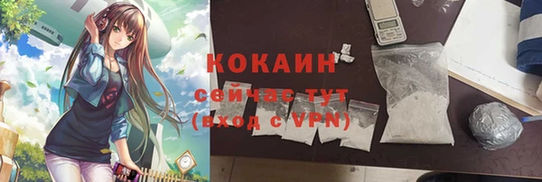 mdpv Елизово