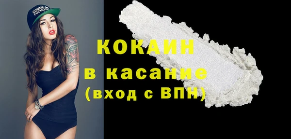 mdpv Елизово