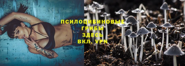 хмурый Елабуга