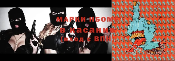 mdpv Елизово