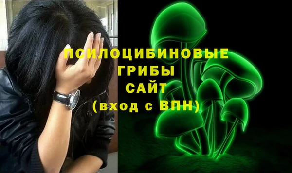 хмурый Елабуга
