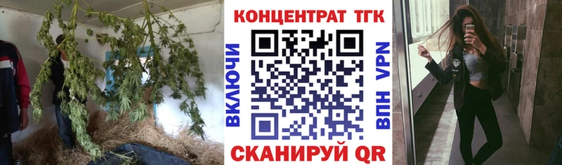 Дистиллят ТГК концентрат  Купить закладки  Топки 